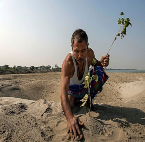 Payeng working for his passion